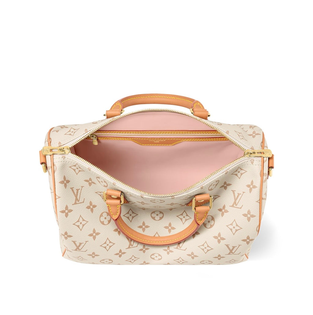 Louis Vuitton Speedy Soft 30 Lucky Bag