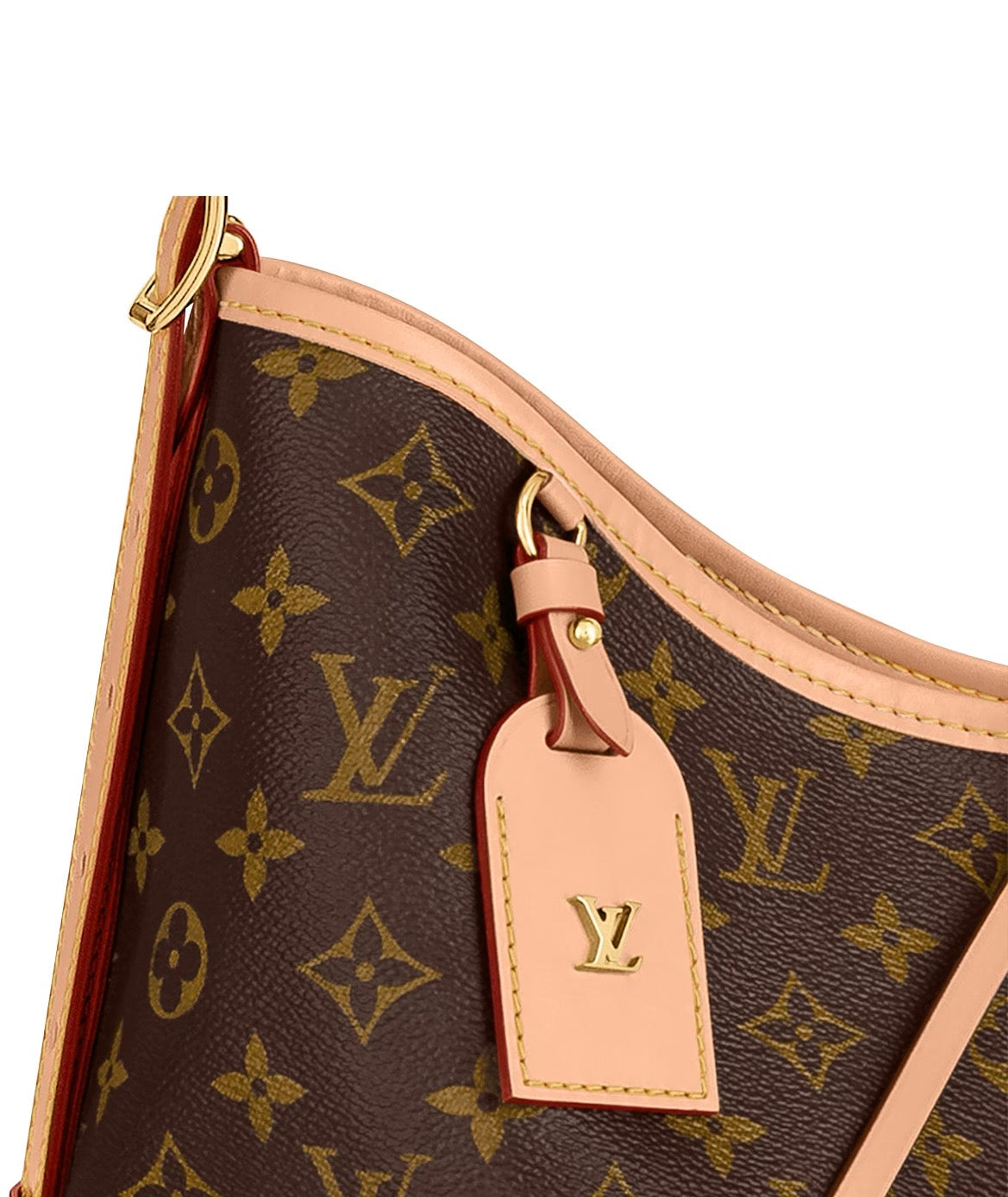 Louis Vuitton CarryAll MM