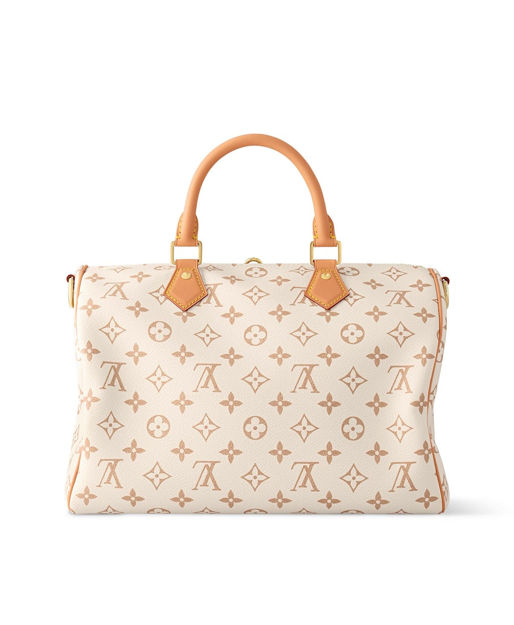 Louis Vuitton Speedy Soft 30 Lucky Bag