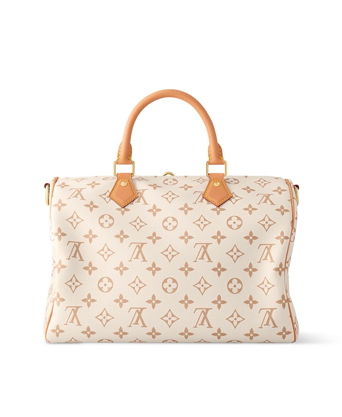 Louis Vuitton Speedy Soft 30 Lucky Bag