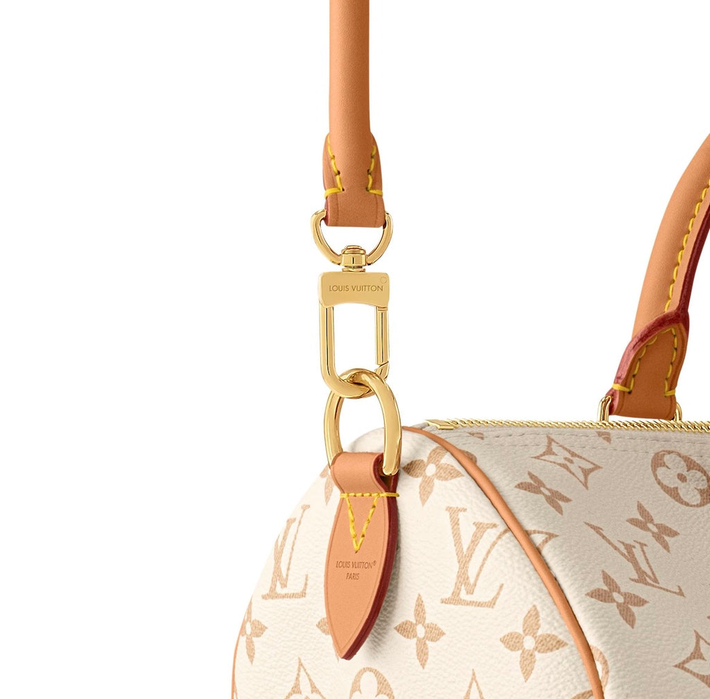 Louis Vuitton Speedy Soft 30 Lucky Bag