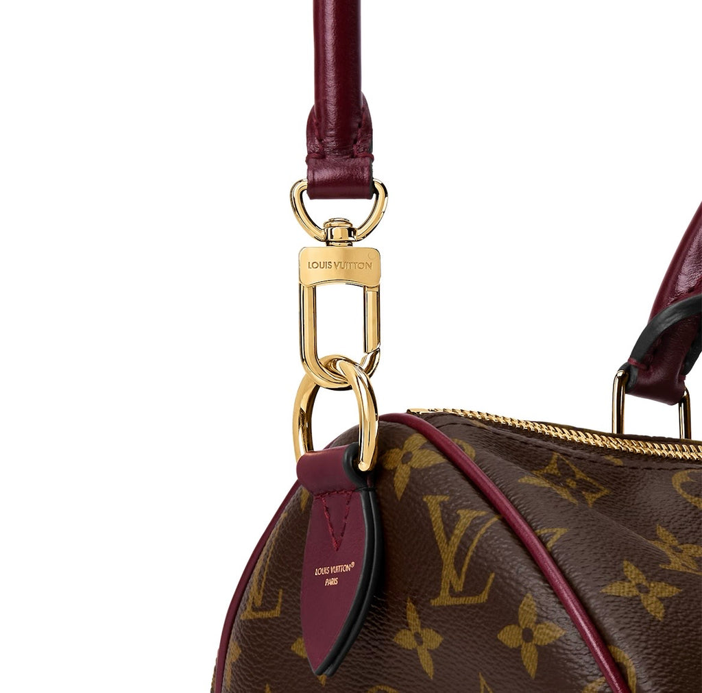 Louis Vuitton Speedy 30 Soft Celebration