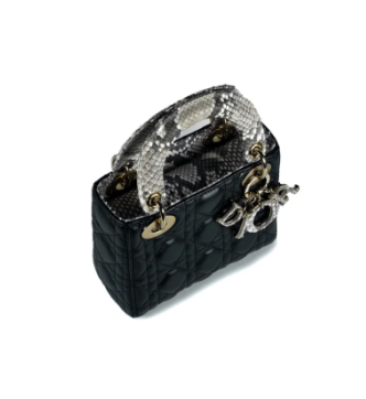 Dior Mini Lady Bag