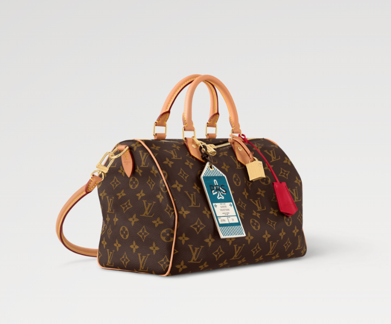 LV Speedy Soft 30 Crafty
