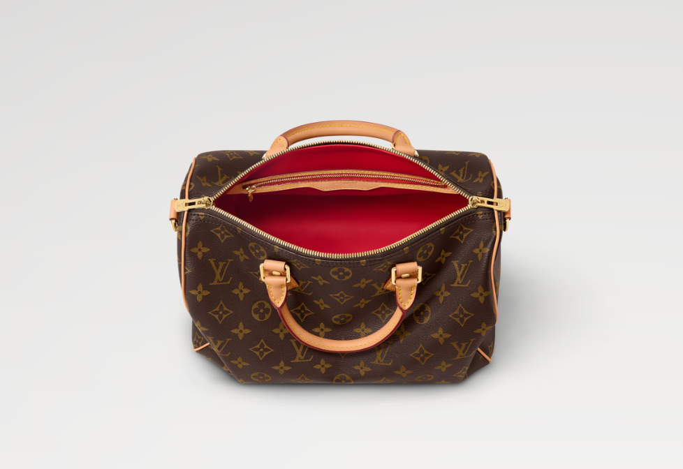 LV Speedy Soft 30 Crafty