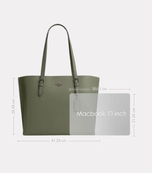Coach Olive Mollie Bag