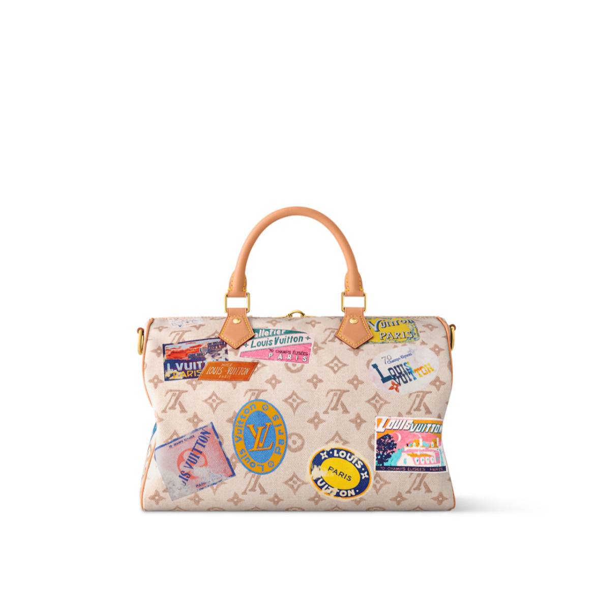 LV Speedy Soft 30 bag
