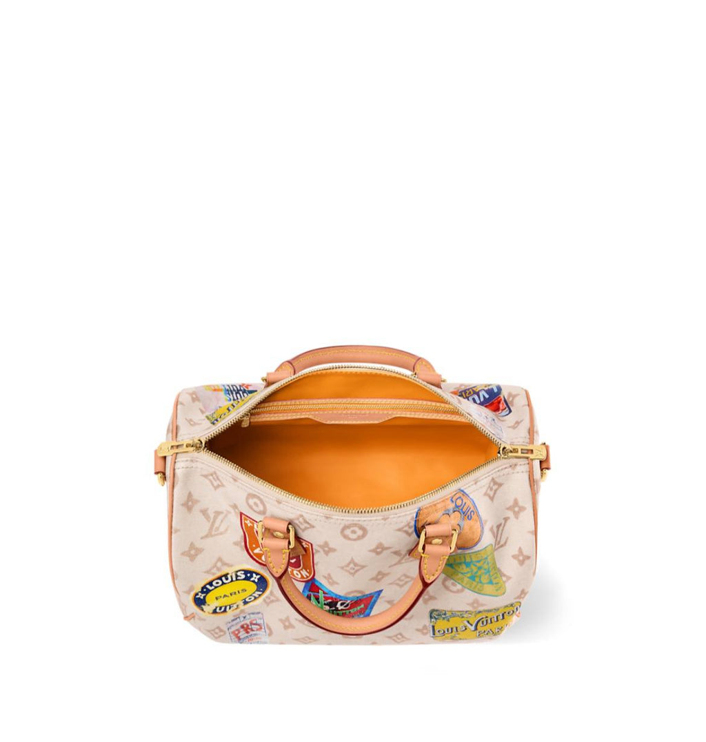 LV Speedy Soft 30 bag